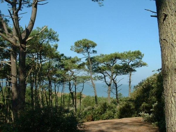 Cottages Du Valcoquet Saint-Brevin-les-Pins Eksteriør billede